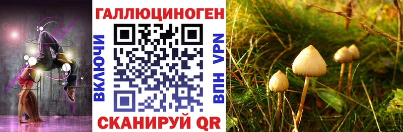 Галлюциногенные грибы GOLDEN TEACHER Нюрба