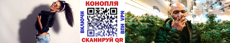 Конопля OG Kush  Нюрба 